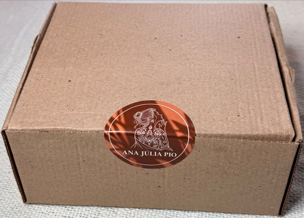 Caixa kraft do Kit Rosto Vivo fechada, com o selo Ana Júlia Pio