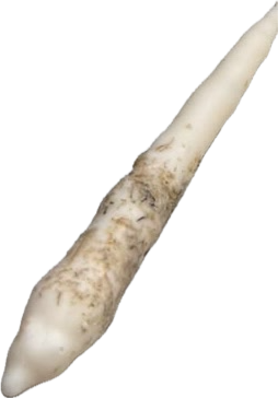 Vela artesanal fina